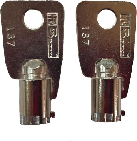 HMC16008 Pair of 2 Replacement Keys Cut to Key Code HMC16008 for Homak Protex Wall Gun Cabinet Safe(Cut by Key Copy Express) (You Must Have The Letter HMC Before The Numbers) Cut to Code HMC 16008 in Kuwait