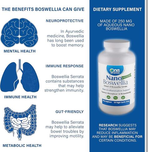 One Planet Nutrition Nano Boswellia 250 mg كبسولات نباتية (120 حصة)، راتنج Boswellia serrata، يدعم الوظيفة الإدراكية لصحة الدماغ، غير معدل وراثيًا، نباتي، خالي من الغلوتين in Kuwait