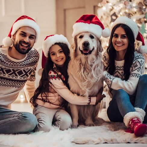 12 Pairs عيد الميلاد كليب على أقراط لطيف ثلج شجرة موس قفازات أجراس الجوارب سانتا احتفالي عطلة طقم من الحلقان in Kuwait