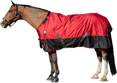 Equinavia Norse No Fill Horse Rain Blanket (0g) | Waterproof Lightweight Turnout Sheet - Black - 66 in - Black - 69 in in Kuwait