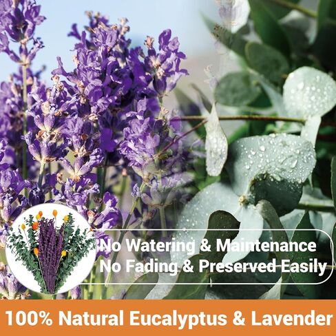 120 قطعة من الأوكالبتوس المجفف الحقيقي للاستحمام وباقة اللافندر المحفوظة، قطيفة طبيعية مقاس 17 بوصة، زهور مجففة لديكور المنزل العلاجي بالروائح in Kuwait
