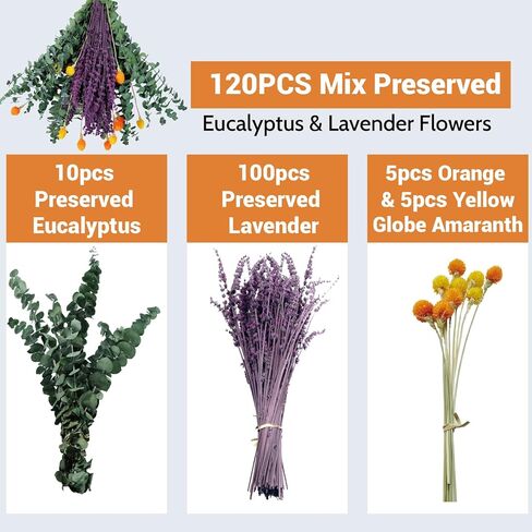 120 قطعة من الأوكالبتوس المجفف الحقيقي للاستحمام وباقة اللافندر المحفوظة، قطيفة طبيعية مقاس 17 بوصة، زهور مجففة لديكور المنزل العلاجي بالروائح in Kuwait