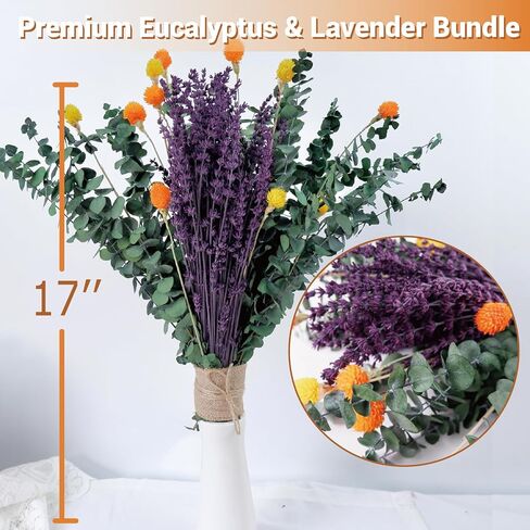 120 قطعة من الأوكالبتوس المجفف الحقيقي للاستحمام وباقة اللافندر المحفوظة، قطيفة طبيعية مقاس 17 بوصة، زهور مجففة لديكور المنزل العلاجي بالروائح in Kuwait