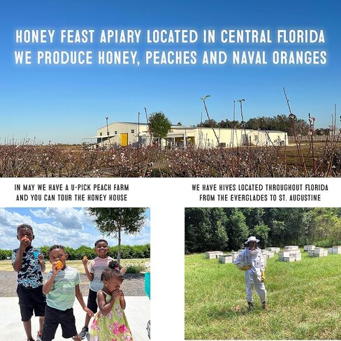 HONEY FEAST 12 أونصة عسل سوبر فود خام مدعم بالزهرة مع غذاء ملكات النحل وحبوب لقاح النحل ودنج النحل ومعبأ على البارد ومصبوب يدويًا في فلوريدا بالولايات المتحدة الأمريكية in Kuwait