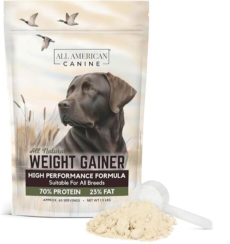 Dog Weight Gainer + Digestive Aid Formula, Natural Health Supplement Food Topper, Weight Gain Supplements for Dogs, & Dog Muscle Builder - 60 Servings in Kuwait