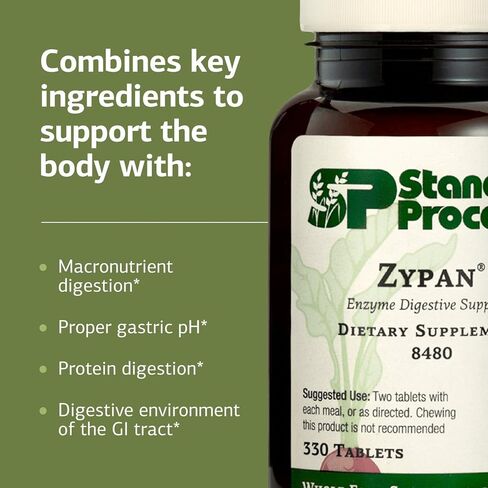 Standard Process Inc. Zypan - Digestive Health Support Supplement - HCI Supplement with Pancreatin, Betaine Hydrochloride & Pepsin - Support Macronutrient Digestion - 330 Tablets in Saudi Arabia