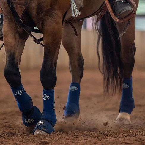 Professional's Choice 2XCOOL Sports Medicine Horse Boots | Protective & Breathable Design for Ultimate Comfort, Durability & Cooling in Active Horses | 4 Pack in Kuwait