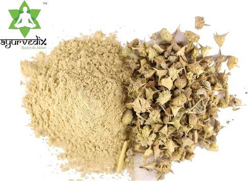 مسحوق Gokhshura Gokhru 200 جم/7.05 أونصة، وعاء غني بمضادات الأكسدة I مزيل السموم الطبيعي I بدون مواد كيميائية أو مواد حافظة، مسحوق عشبي نباتي Tribulus Terrestris I من أجل صحة جيدة وعافية عامة in Kuwait