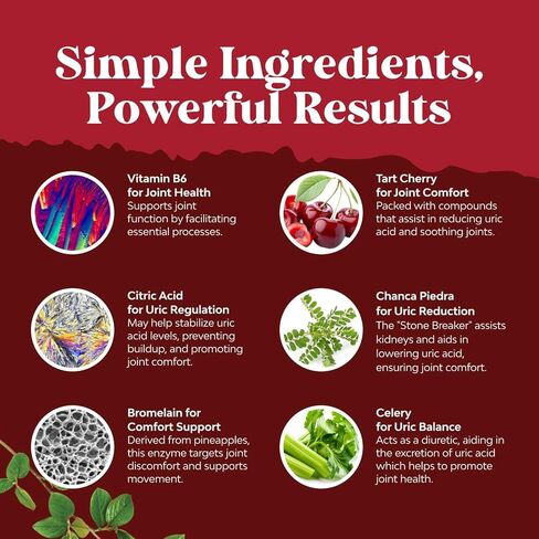 Bundle of Green Coffee Bean Extract for Uric Acid Cleanse & Detox with Turmeric, Tart Cherry & Celery Seed and Zeaxanthin Plus Lutein Gummies - Lutein Eye Vitamins for Vision & Blue Light Protection in Saudi Arabia