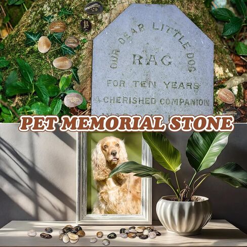 30 Pcs Pet Memorial Stones, Dog Memorial Gifts with Text, Condolence Gifts for Mourning Dogs, Pet Cat Bereavement Stones in Saudi Arabia