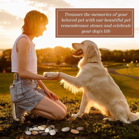 30 Pcs Pet Memorial Stones, Dog Memorial Gifts with Text, Condolence Gifts for Mourning Dogs, Pet Cat Bereavement Stones in Saudi Arabia
