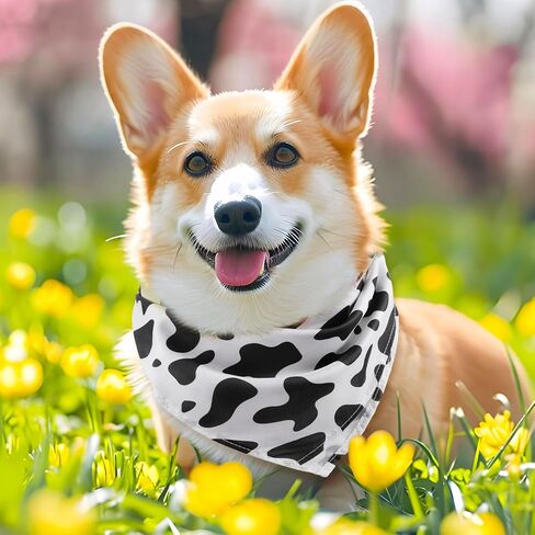Toulite 24 Pcs Cow Print Bandanas Bulk Animal Print Bandanas for Men Women Cowboy Pet Halloween Party Favor, 20 x 20 Inch in Saudi Arabia