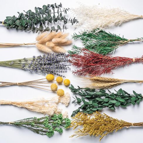 12kinds Natural Dried Flowers DIY kit ,10~12inch,Handpicked Including Lavender/Eucalyptus/Wheat,for Home Office Wedding Decor, Low-Maintenance in Saudi Arabia