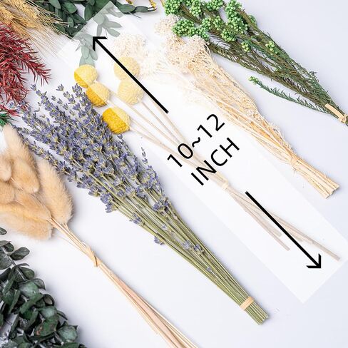 12kinds Natural Dried Flowers DIY kit ,10~12inch,Handpicked Including Lavender/Eucalyptus/Wheat,for Home Office Wedding Decor, Low-Maintenance in Saudi Arabia