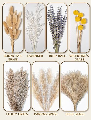 Boho Decor Bouquet - Pampas Grass,Eucalyptus,Lavender,Bunny Tail,Billy Balls 16~17inch Natural Dried Flowers for Home,Living Room,Wedding,Room,Wall Decor in Saudi Arabia