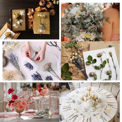 130Pcs DIY Mixed Natural Dried Flower Set, Preserved Flowers Bulk with Baby's Breath, Dried Roses, Eucalyptus Stems, Mini Handmade Flower Arrangement, Dried Flower for Home Decor in Kuwait
