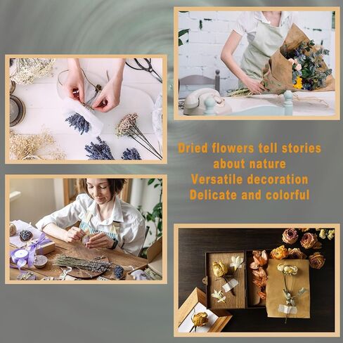 130Pcs DIY Mixed Natural Dried Flower Set, Preserved Flowers Bulk with Baby's Breath, Dried Roses, Eucalyptus Stems, Mini Handmade Flower Arrangement, Dried Flower for Home Decor in Kuwait