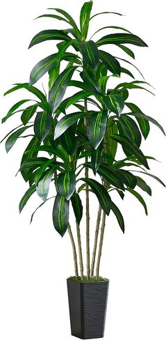 شجرة Dracaena الاصطناعية شجرة الحرير الاصطناعية مع زارع أبيض طويل القامة ونباتات أرضية اليوكا الاستوائية المزيفة (1، زارع أبيض طويل القامة، 5 أقدام) in Kuwait