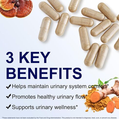 مكمل لصحة البروستاتا للرجال - البلميط المنشاري، نبات القراص اللاذع، وبيتا سيتوستيرول لتدفق البول ودعم البروستاتا، 90 كبسولة نباتية (كمية تكفي لمدة شهر) in Kuwait