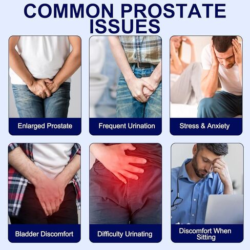مكمل لصحة البروستاتا للرجال - البلميط المنشاري، نبات القراص اللاذع، وبيتا سيتوستيرول لتدفق البول ودعم البروستاتا، 90 كبسولة نباتية (كمية تكفي لمدة شهر) in Kuwait