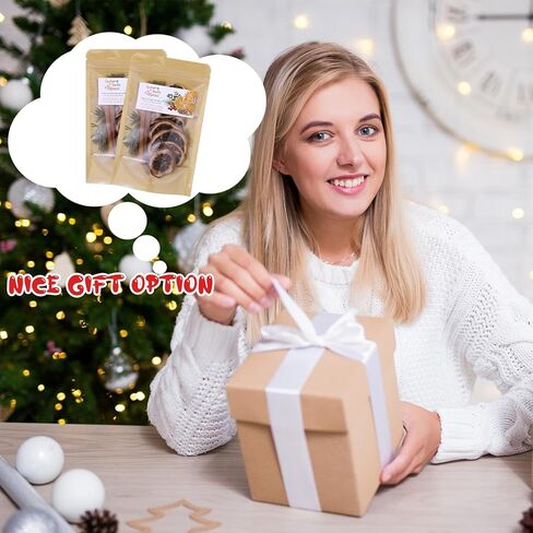 Vesici 24 Pcs Christmas Potpourri Bags with Label for Package of Stove Top Simmer Christmas Home Scent Use with Glass Saucepan Stove-top Steamer Pot for Home Xmas Party Gift Decor in Saudi Arabia