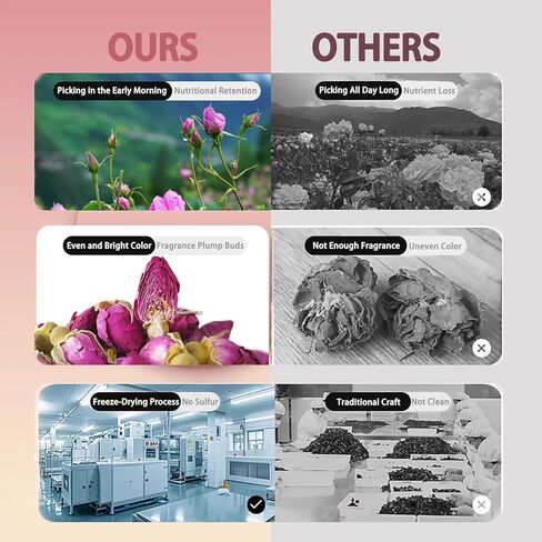 Premium Dried Rose, Edible Dried Rose Herbal-Teas Big Buds 400+ Bulk for Coffee/Cocktail & Cake Garnish/Resin Crafts/Beauty & Bath/Candle Soap Making Potpourris in Saudi Arabia