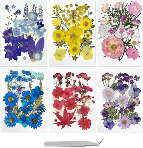 173Pcs Real Dried Pressed Flowers for Crafts - Natural Dry Flower Kit for Resin, Stickers, Bookmarks, Candle Making, Soap, Nail Art, Frames, Invitations & Jewelry,Valentines Day Gifts in Saudi Arabia