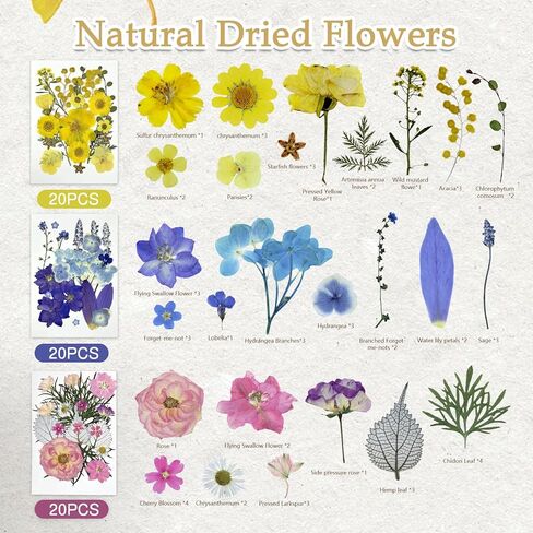 173Pcs Real Dried Pressed Flowers for Crafts - Natural Dry Flower Kit for Resin, Stickers, Bookmarks, Candle Making, Soap, Nail Art, Frames, Invitations & Jewelry,Valentines Day Gifts in Saudi Arabia