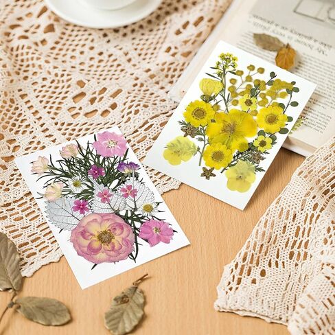 173Pcs Real Dried Pressed Flowers for Crafts - Natural Dry Flower Kit for Resin, Stickers, Bookmarks, Candle Making, Soap, Nail Art, Frames, Invitations & Jewelry,Valentines Day Gifts in Saudi Arabia