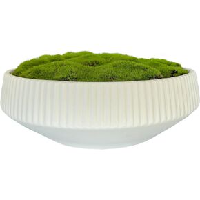 Macomine Design Moss Bowl | 12" Diameter | Artificial | Lightweight Ceramic | Fluted Bowl | Home Décor