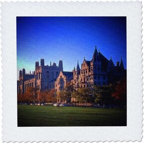 3dRose qs_26371_1 University of Chicago-Quilt Square, 10 by 10-Inch