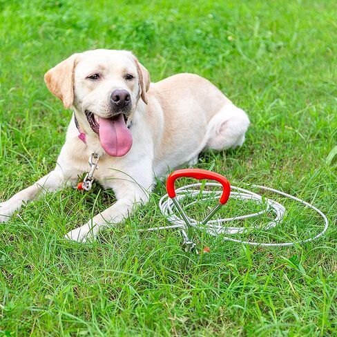 Dog Tie Out Cable and Stake - 30 ft Dog Run Cable & Dog Stake for Yard Camping Park Outside - Heavy Duty Chew Proof Long Dog Leads for Medium Large Dogs in Saudi Arabia