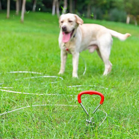 Dog Tie Out Cable and Stake - 30 ft Dog Run Cable & Dog Stake for Yard Camping Park Outside - Heavy Duty Chew Proof Long Dog Leads for Medium Large Dogs in Saudi Arabia