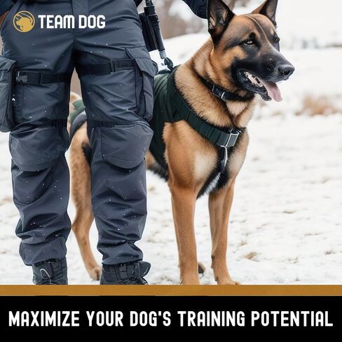Team Dog Freeze Dried Turkey Dog Treats for Training | Healthy Gluten Free, Grain Free Dog Treats | No Added Fillers, Flavoring or by-Products | for All Breeds & Sizes | 5.2 Oz in Saudi Arabia
