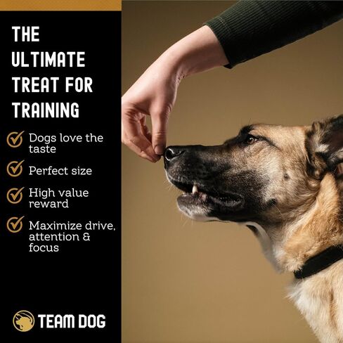 Team Dog Freeze Dried Turkey Dog Treats for Training | Healthy Gluten Free, Grain Free Dog Treats | No Added Fillers, Flavoring or by-Products | for All Breeds & Sizes | 5.2 Oz in Saudi Arabia