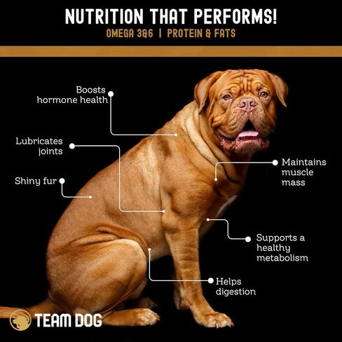 Team Dog Freeze Dried Turkey Dog Treats for Training | Healthy Gluten Free, Grain Free Dog Treats | No Added Fillers, Flavoring or by-Products | for All Breeds & Sizes | 5.2 Oz in Saudi Arabia