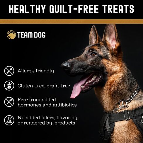 Team Dog Freeze Dried Turkey Dog Treats for Training | Healthy Gluten Free, Grain Free Dog Treats | No Added Fillers, Flavoring or by-Products | for All Breeds & Sizes | 5.2 Oz in Saudi Arabia