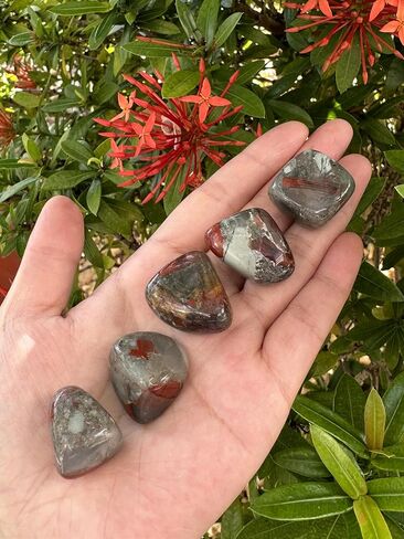 GAF TREASURES 5 Pcs Black Onyx Tumbled Stones, Polished Natural Black Onyx Gemstone, Black Onyx Healing Crystals (Black Onyx) in Saudi Arabia