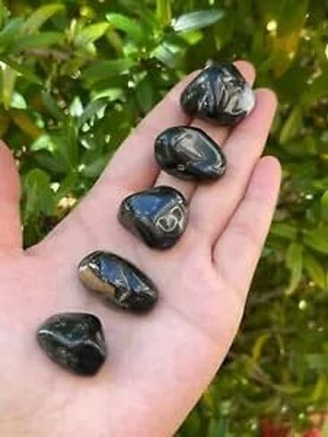 GAF TREASURES 5 Pcs Black Onyx Tumbled Stones, Polished Natural Black Onyx Gemstone, Black Onyx Healing Crystals (Black Onyx) in Saudi Arabia
