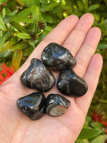 GAF TREASURES 5 Pcs Black Onyx Tumbled Stones, Polished Natural Black Onyx Gemstone, Black Onyx Healing Crystals (Black Onyx) in Saudi Arabia