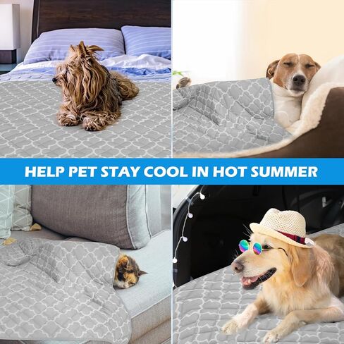EXPAWLORER Dog Cooling Blanket - Washable Dog Cooling Throw Blanket,Soft Lightweight Dog Cooling Mat for Bed Cover, Extra Large Summer Soft Pet Pad for Large Dogs Puppy Cat in Kuwait