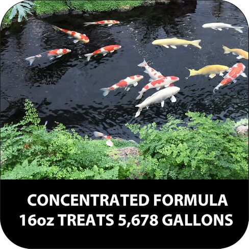 Fritz Aquatics AFA48008 Algae Clean Out for Aquarium, 8-Ounce, Model: 805000 in Saudi Arabia