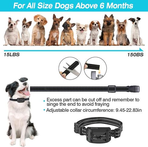 سياج الكلاب اللاسلكي من تيك هوم، سياج كهربائي مطور لعام 2024 للكلاب وطوق التدريب مع جهاز تحكم عن بعد، نظام احتواء حدود الحيوانات الأليفة اللاسلكي 2 في 1، أحجام نطاق قابلة للتعديل، IP65 مقاوم للماء (لكلبين) in Kuwait