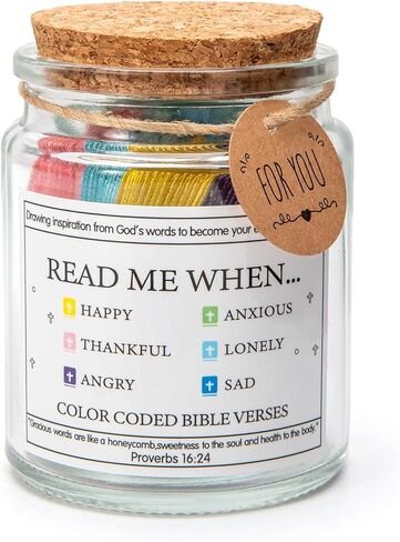 Read Me When Bible Verses Jar for Daily Encouragement，God is Above Bible Verse Jar for Wemen&Men&Teens，Christian Gifts for Women，96 Bible Verses Cards in Saudi Arabia