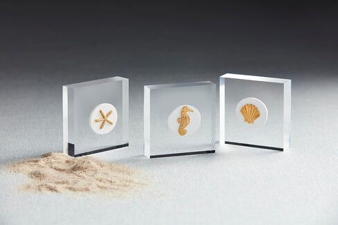 حاضنة أكريليك صغيرة الحجم من Mud Pie؛ 3 "× 3" in Kuwait