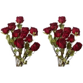 TooGet Natural Dried Flowers Bouquet, 10 Pcs Red Dried Roses Bouquet for Wedding Decoration and DIY Wreath Floral Home Decor in Kuwait