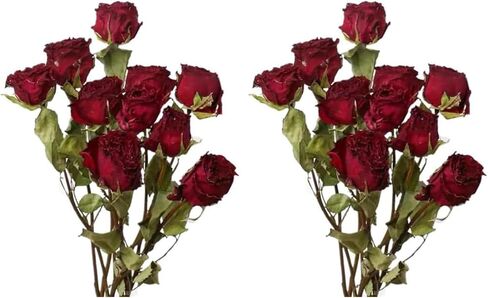 TooGet Natural Dried Flowers Bouquet, 10 Pcs Red Dried Roses Bouquet for Wedding Decoration and DIY Wreath Floral Home Decor in Kuwait