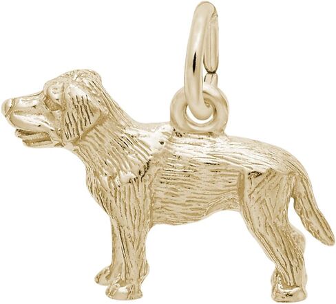 10k Yellow Gold Labrador Dog Charm, Charms for Bracelets and Necklaces in Saudi Arabia