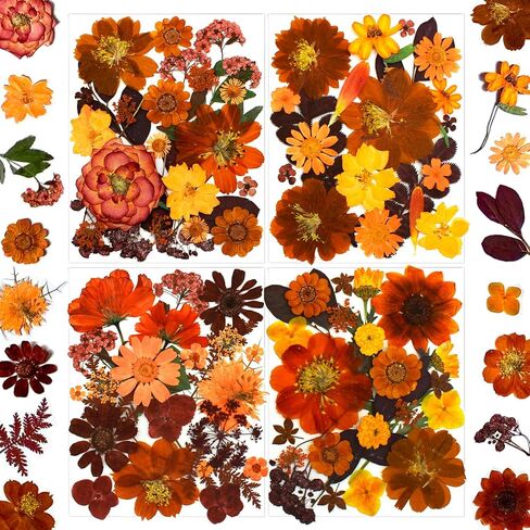 100 Pcs Dried Pressed Flowers Leaves for Resin Molds, Real Natural Bulk Dry Wildflowers Perfect for Epoxy, DIY Crafts, Soap Candles Jewelry Making, and Home Decor in Saudi Arabia