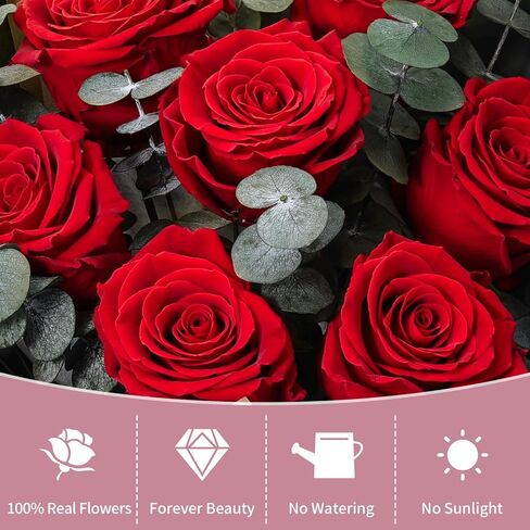 Lewondr Flower for Delivery, Preserved Flowers Bouquet, Red Roses Bouquet, Real Long-Lasting Forever Birthday Flowers Gifts for Her Wife Girlfriend Valentines Day Anniversary Mothers Day, Black-Red in Saudi Arabia